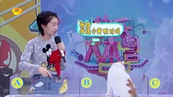 环球百态爆料视频大全,揭秘世界各地的奇闻异事